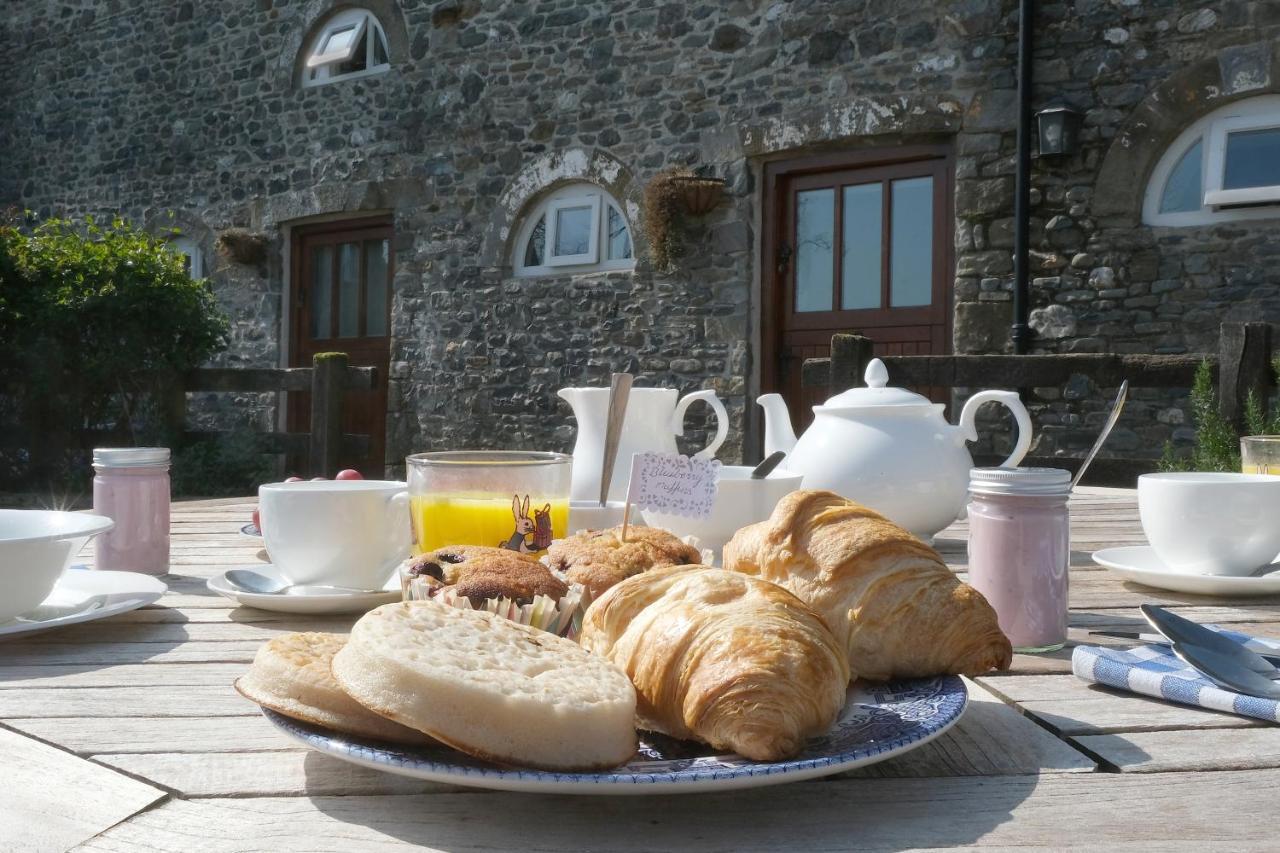 Henllys Estate B And B Bed & Breakfast Llandovery Exterior photo